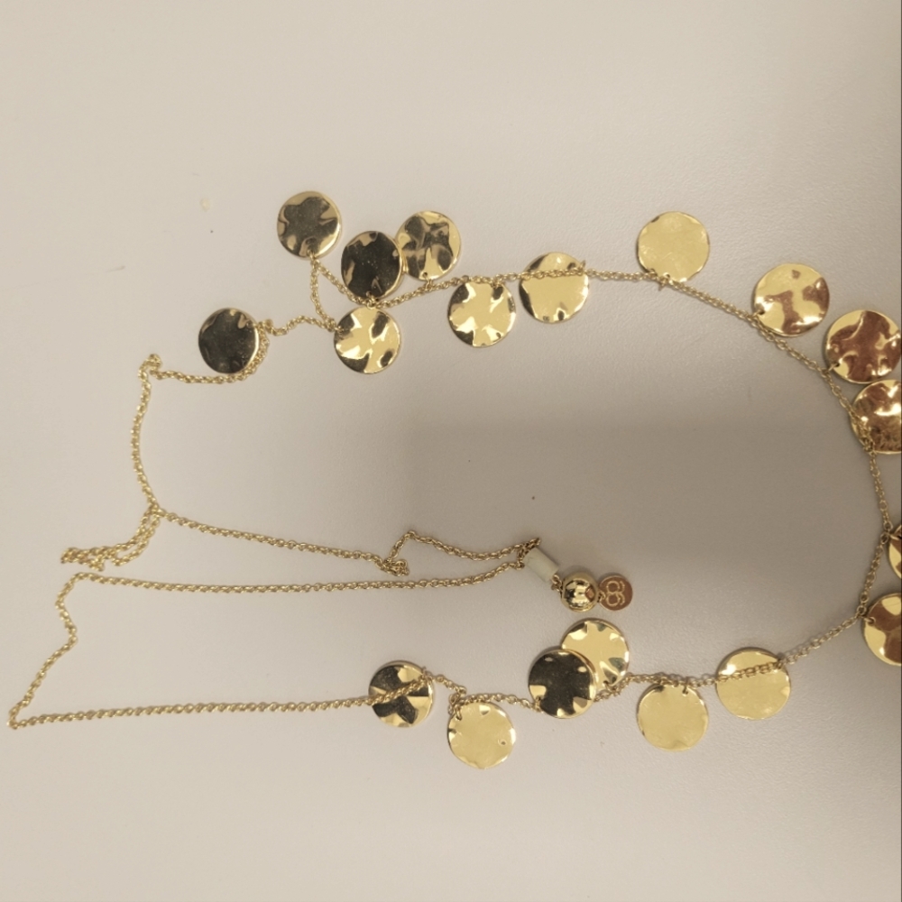 Gorjana necklace